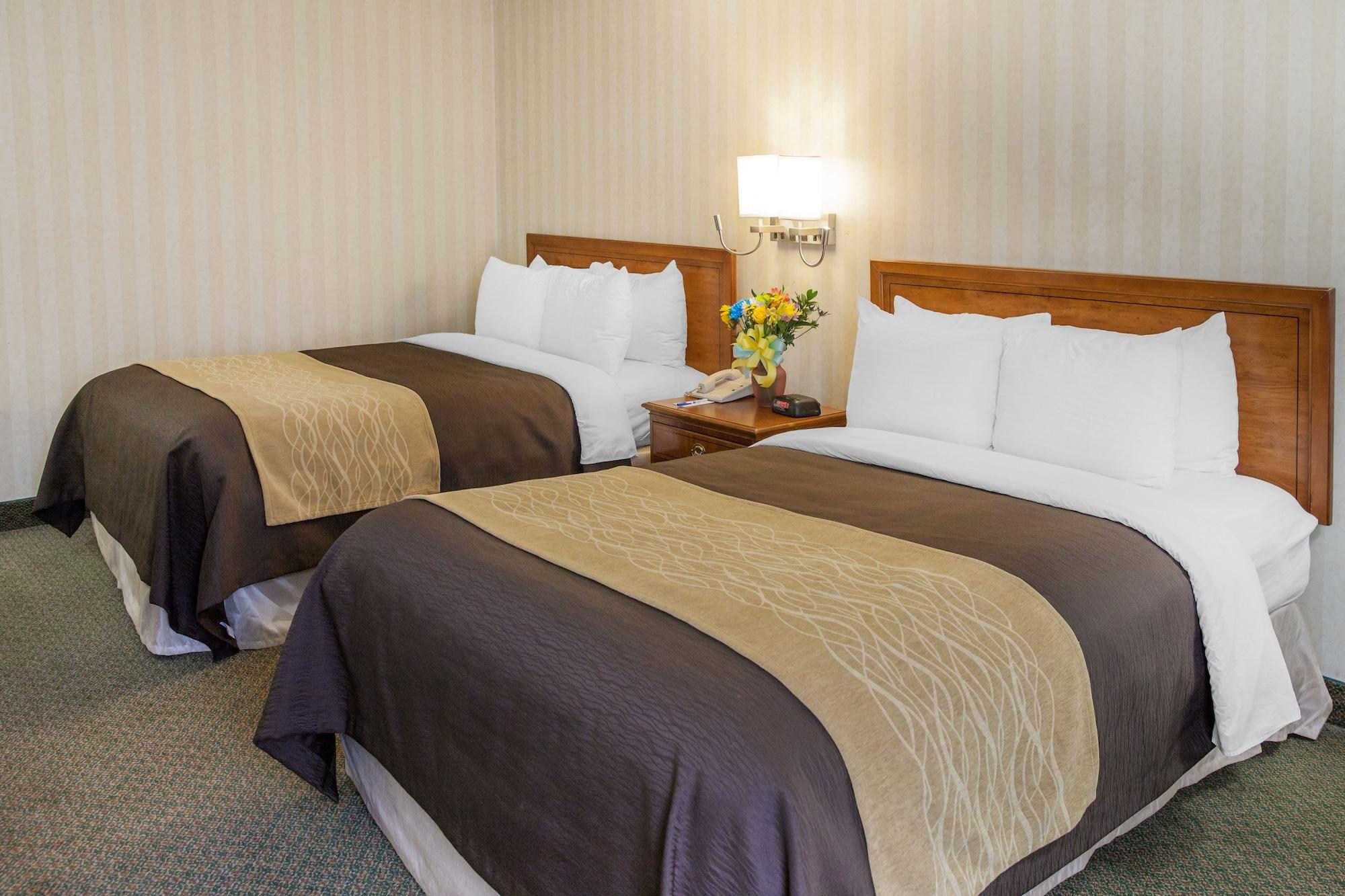 Comfort Inn Pentagon City Арлингтон Экстерьер фото